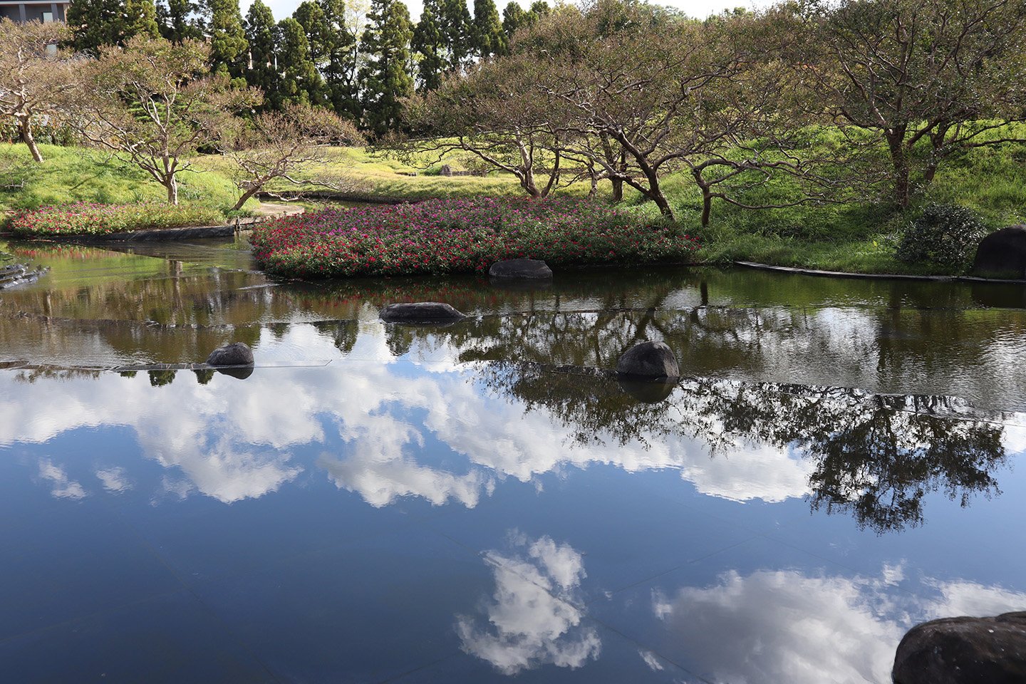 🏞️ 우메코지 공원 이미지 8
